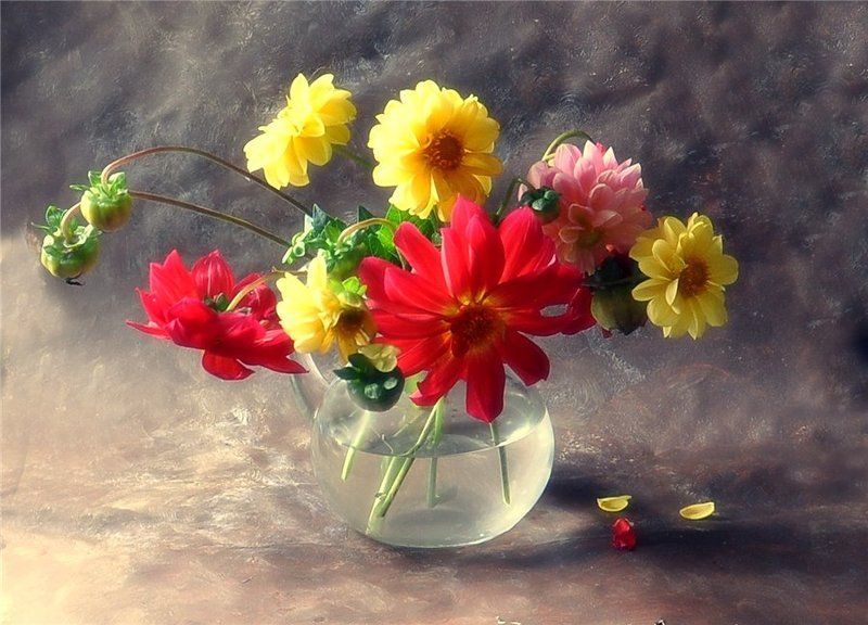 Георгиныphoto preview