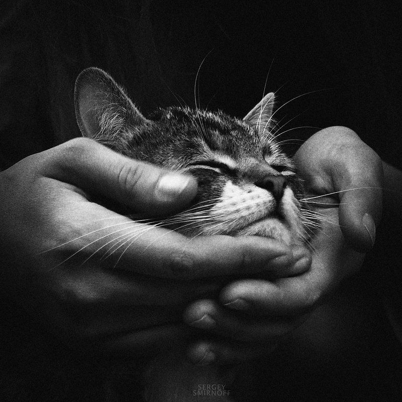 little friendphoto preview