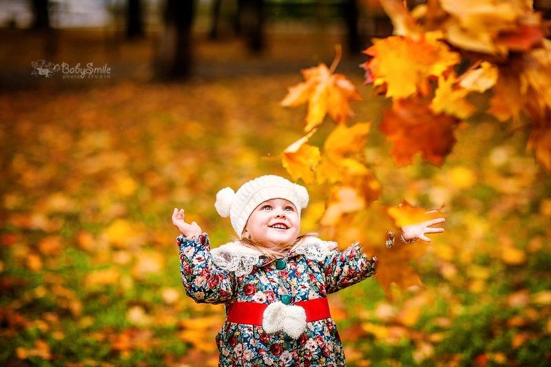 Осеньphoto preview