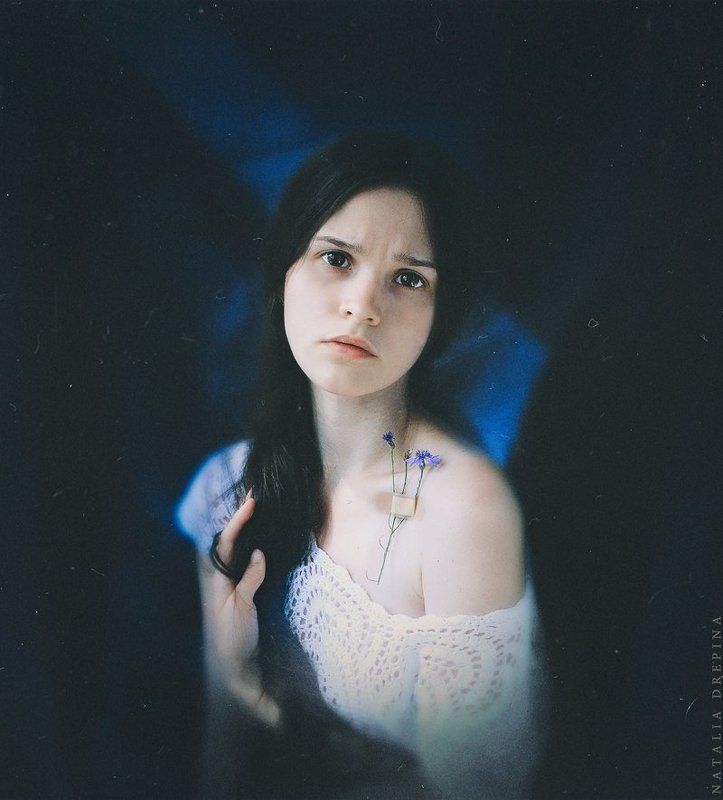 Василькиphoto preview