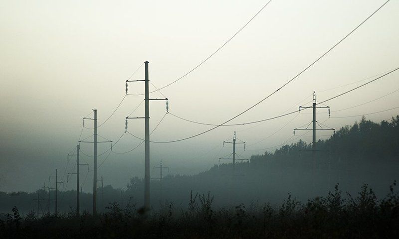 Autumn, Forest, Landscape, Mist, Nature, Russia, Saint-Petersburg, Sky, Sun, Trees, Water, Вода, Деревья, Лес, Небо, Осень, Паутина, Пейзаж, Природа, Россия, Санкт-петербург, Солнце, Туман, Утро Утренняя прогулка.photo preview