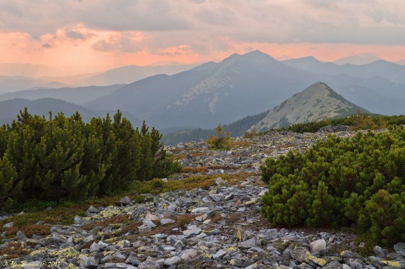 Розсыпи Горганphoto preview