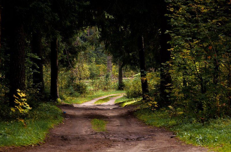 Путешествие в сентябрьский лесphoto preview