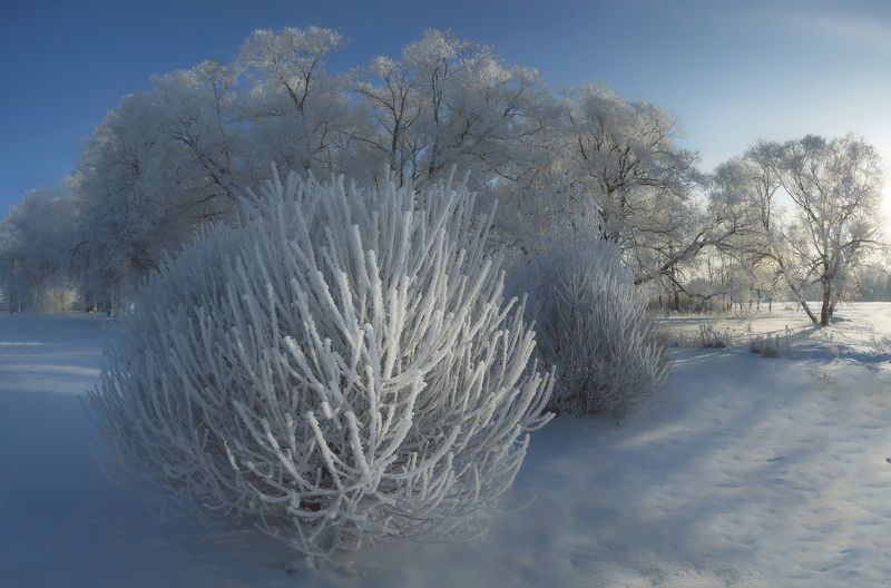 питер, зима, царскоесело, царское, нижнийпарк В Питере зима)photo preview