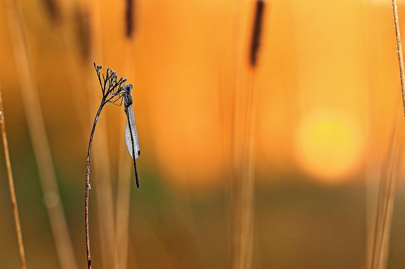 Сентябрьphoto preview