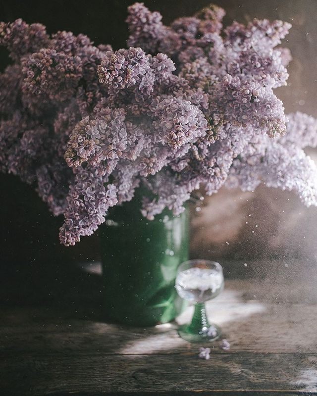 букет, лето, свет, цветы, сирень photo preview