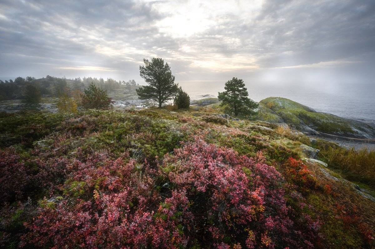 карелия,осень,красота, путешествие,рассвет,дымка, Юлия Лаптева