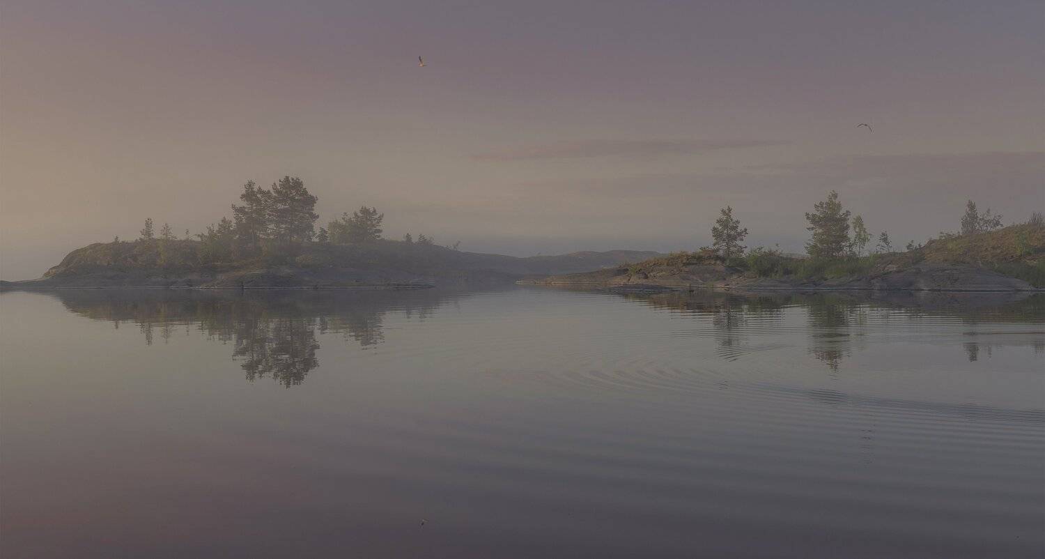 Туманное утро.. Автор: ДМИТРИЙ ПУЗЕНКО ладога., ДМИТРИЙ ПУЗЕНКО