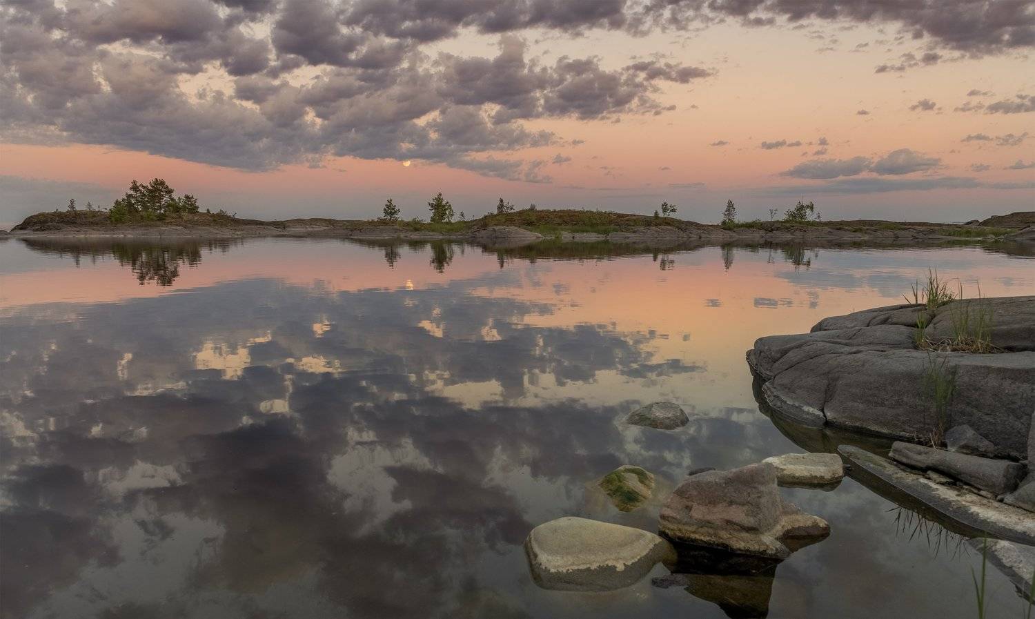 ладога., ДМИТРИЙ ПУЗЕНКО