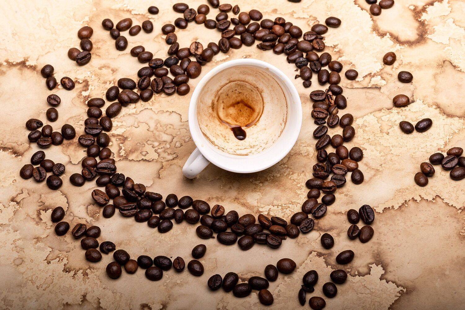 ,  Светослав Радков