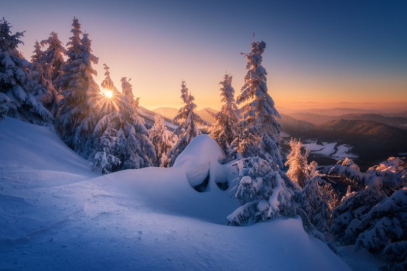 Still life of Little Fatraphoto preview