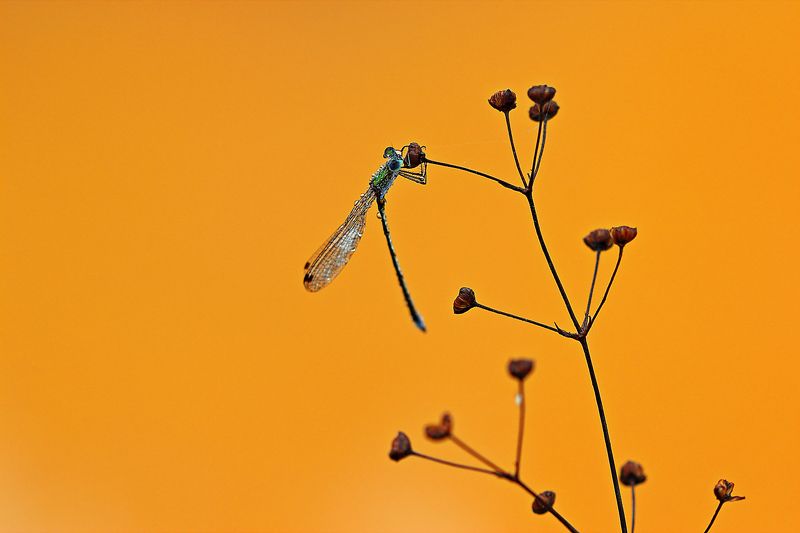 Сентябрьphoto preview