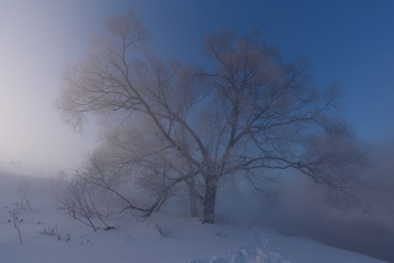 В облаке тумана фото превью