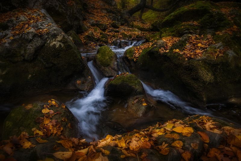 В Большом каньонеphoto preview