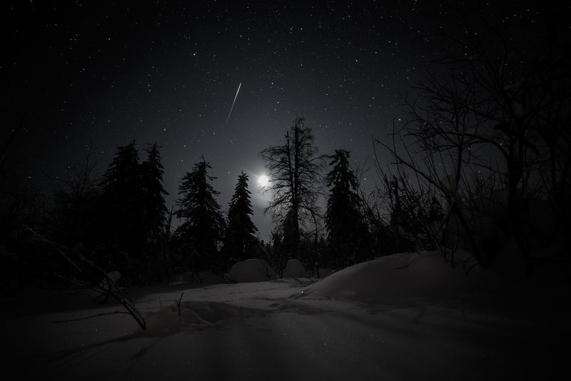 Ночь в тайгеphoto preview