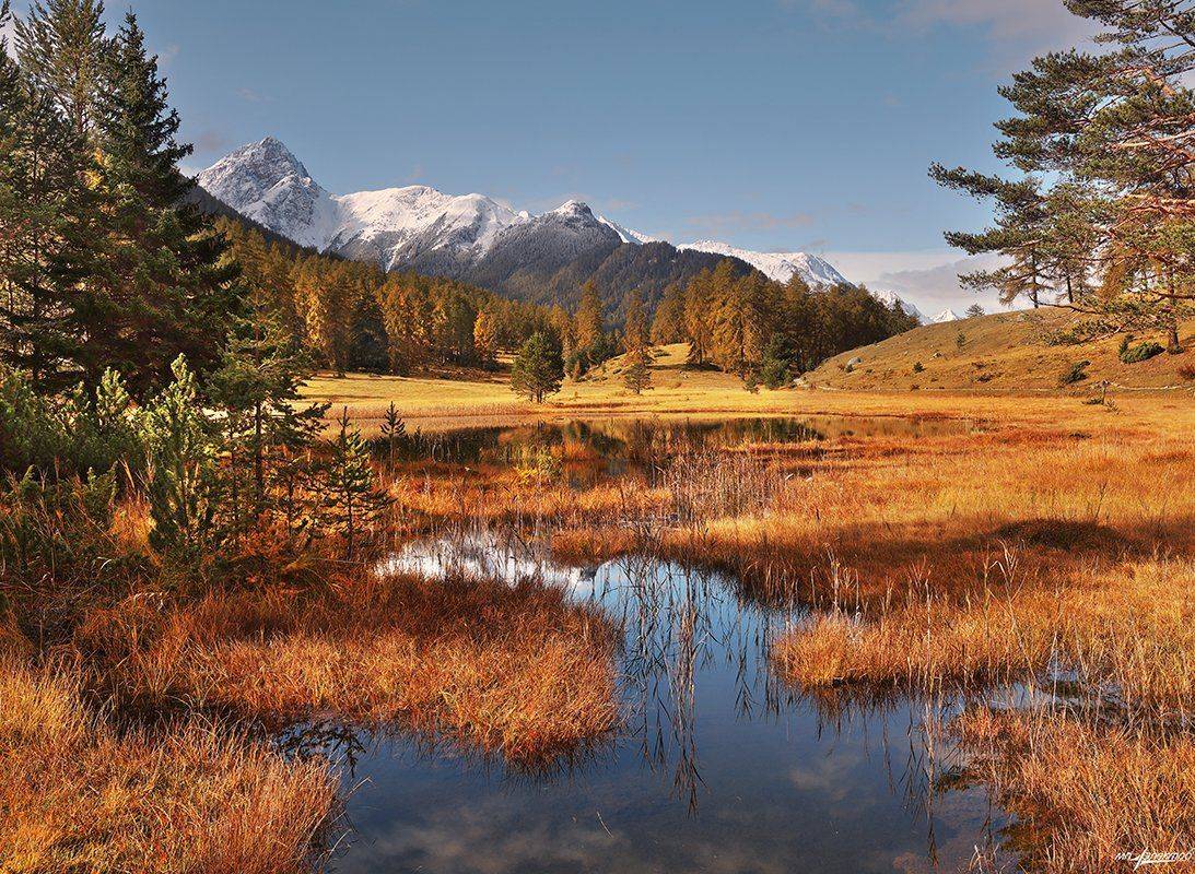 swiss, Матвеев Николай