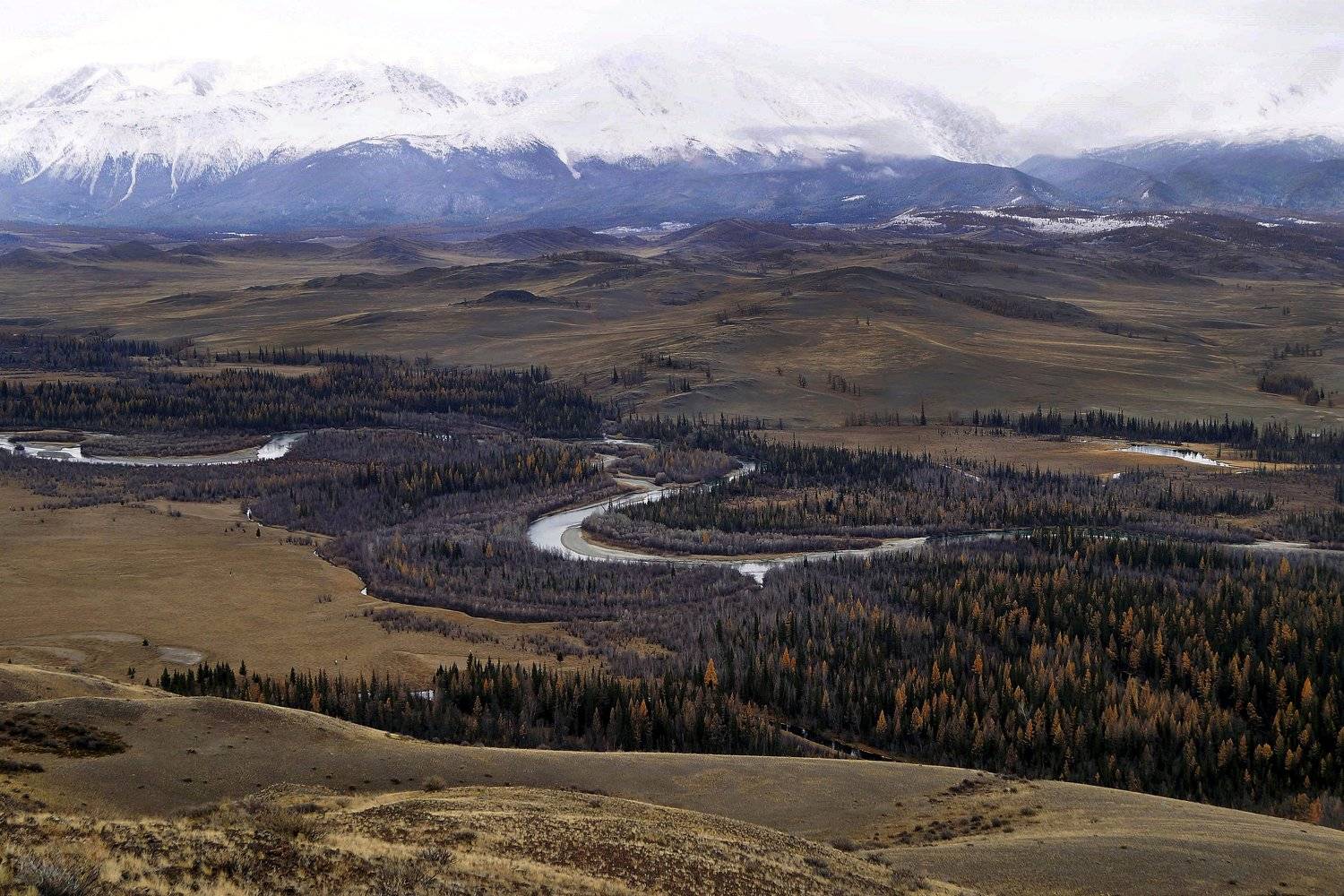 природа  алтай горы облака пейзаж путешествие тени река чуя степь, Людмила