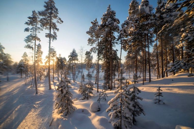 зима, природа, ель, мороз, север «Зимняя сказка»photo preview