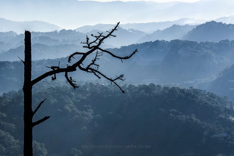 Fog  Da Lat 2019photo preview