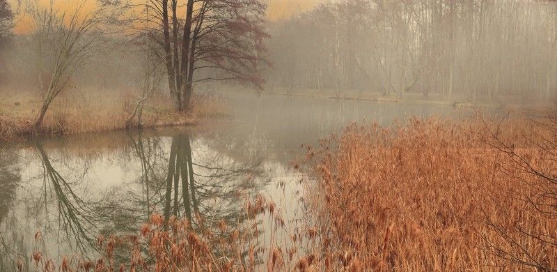 Вспоминая осеньphoto preview