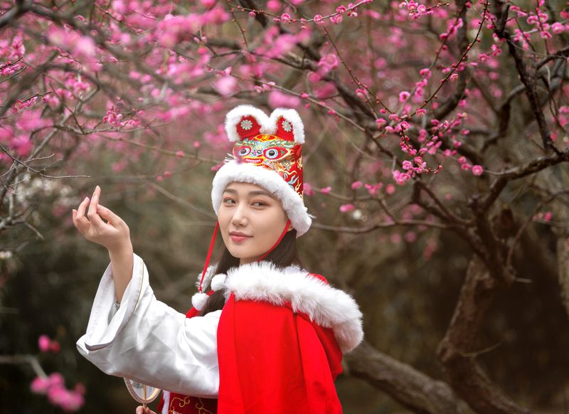 Chinese princese in plum blossomphoto preview