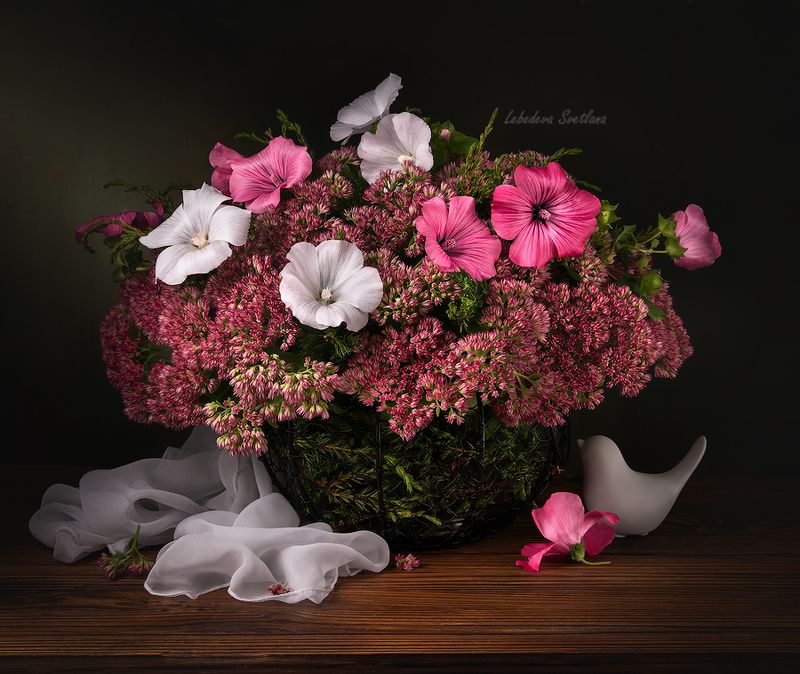 цветы,букет,мальва С лаватеройphoto preview