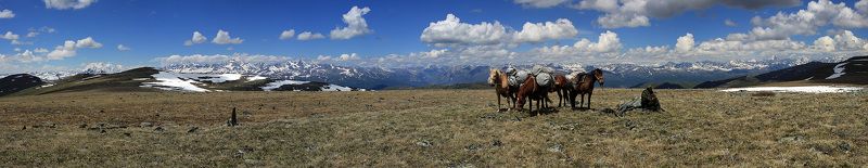 Алтай, Катунский хребет, Южно-чуйский Белки Алтаяphoto preview