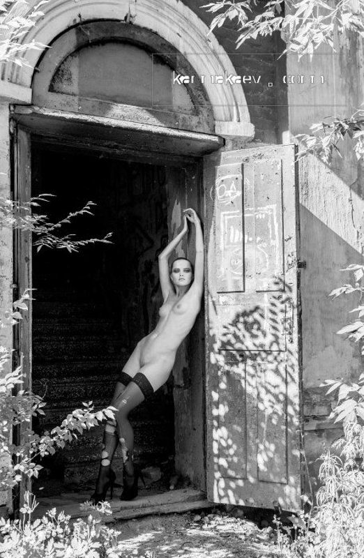 Summeryphoto preview