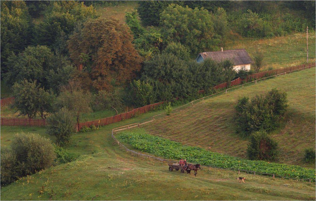 , Николай Шахманцир