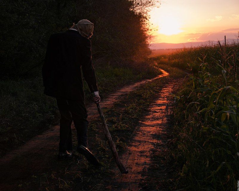 Пора собирать урожай.photo preview