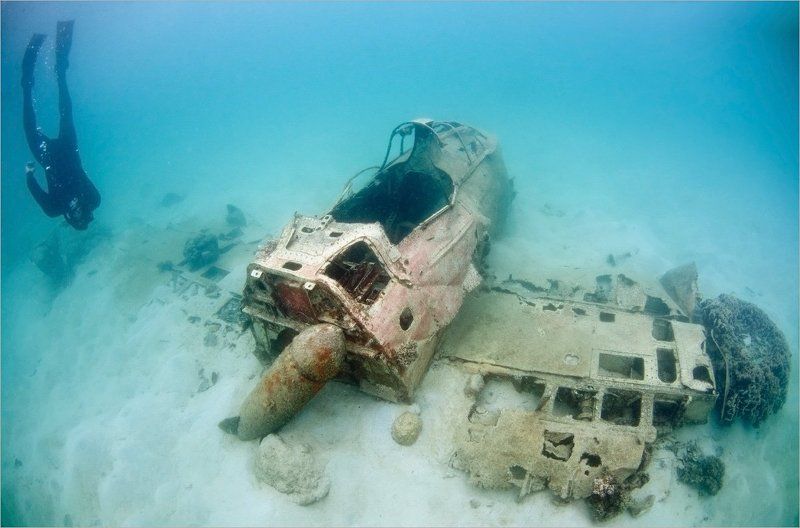 Долгое эхо фото превью