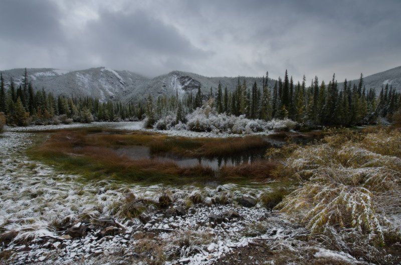 Осеннее утроphoto preview
