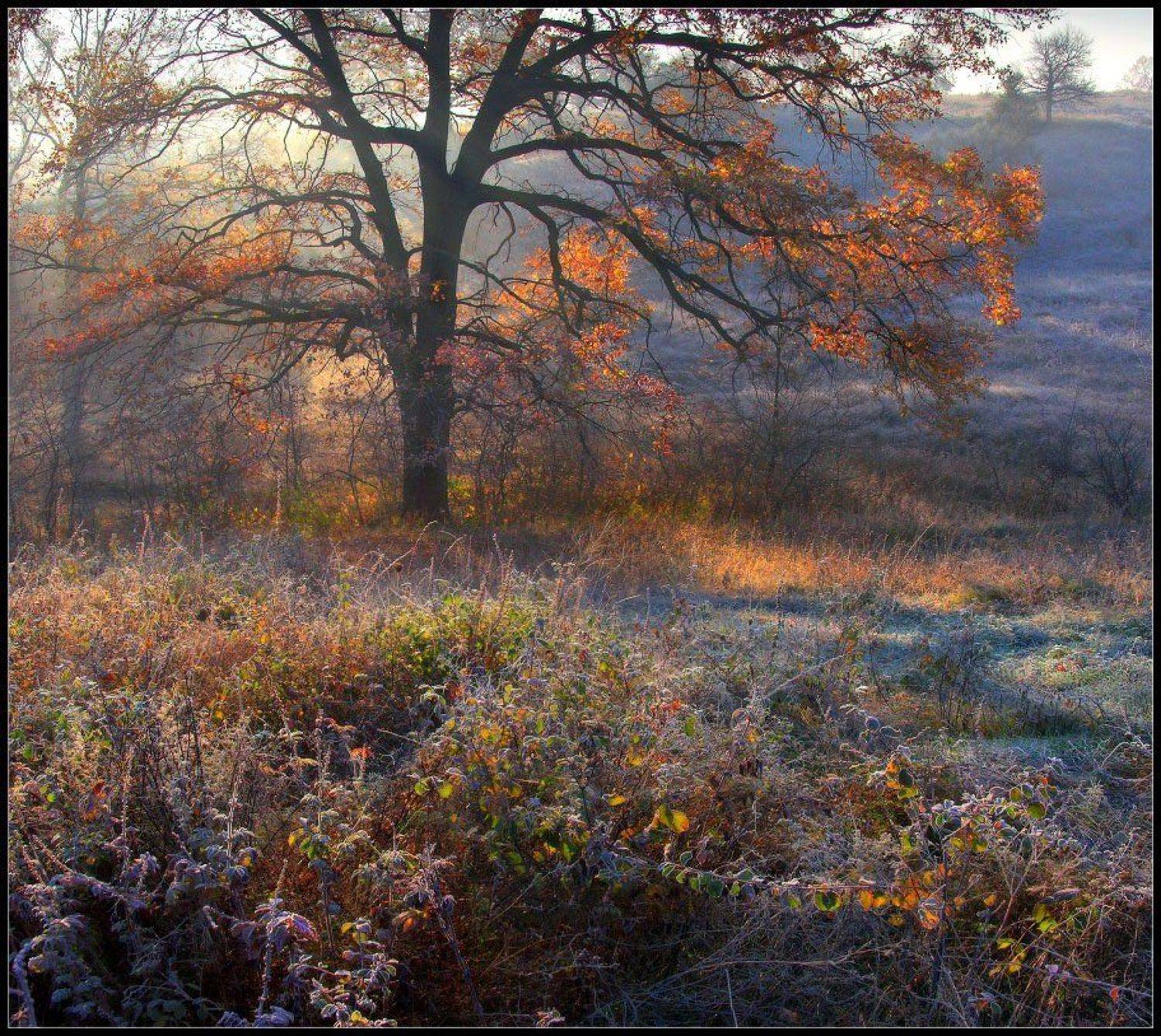 , Александр Киценко