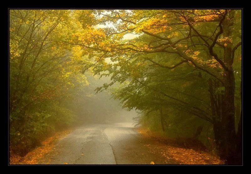 осень фото превью