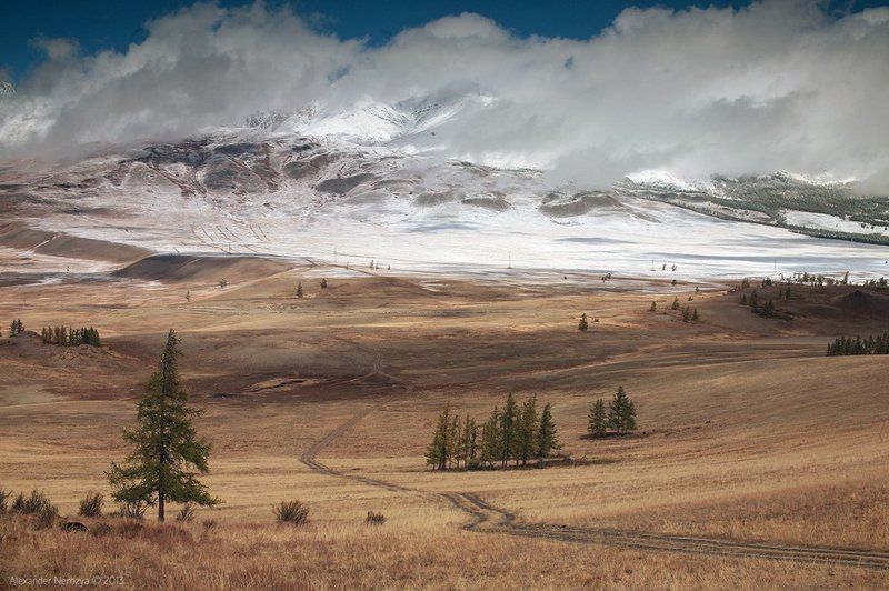 Курайское настроениеphoto preview