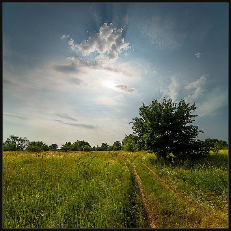 Nikon D600, TOKINA AF17MM F/3.5 AT-X 17AF PR ***photo preview