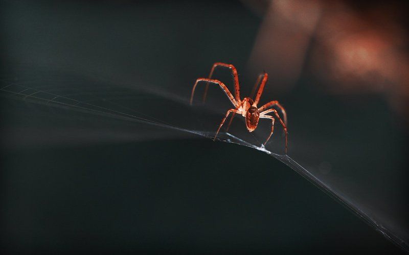 Танцор дискоphoto preview