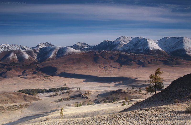 Алтай, Горы, Деревья, Кош-Агач, Курай, Лиственницы, Небо, Россия, Сибирь, Тень, Холмы Полумарсианский пейзажphoto preview
