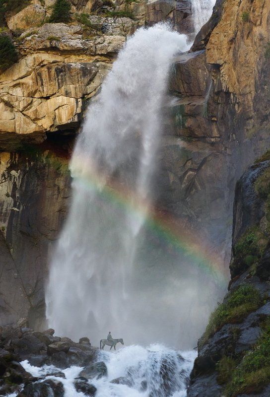 Радужный Барсыкоон - слезы барсаphoto preview