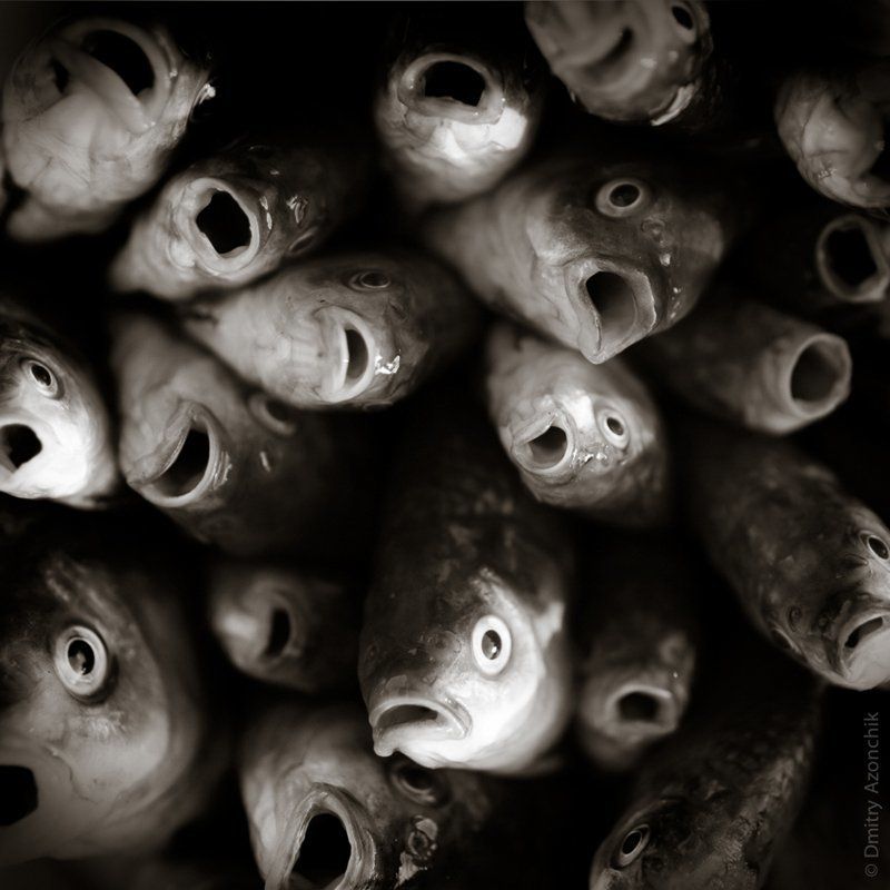 немая боль...photo preview