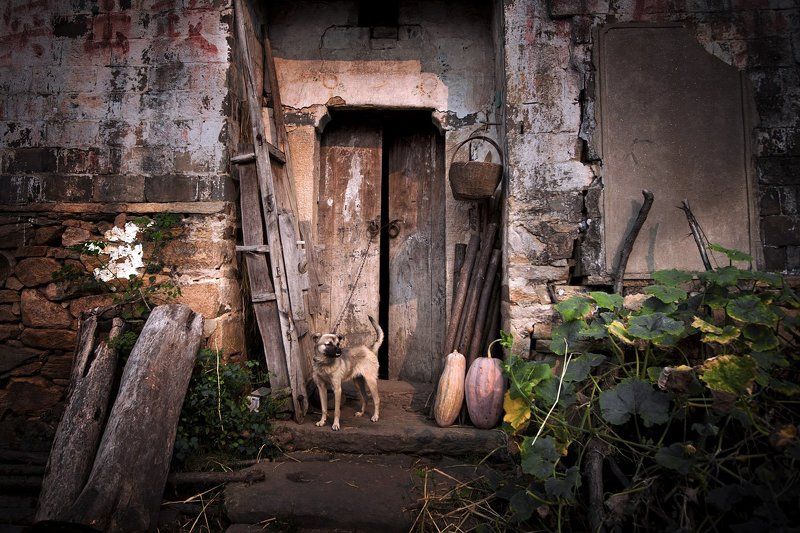 乡村 photo preview