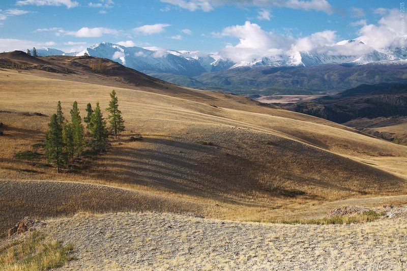 РАСЧЕСКАphoto preview