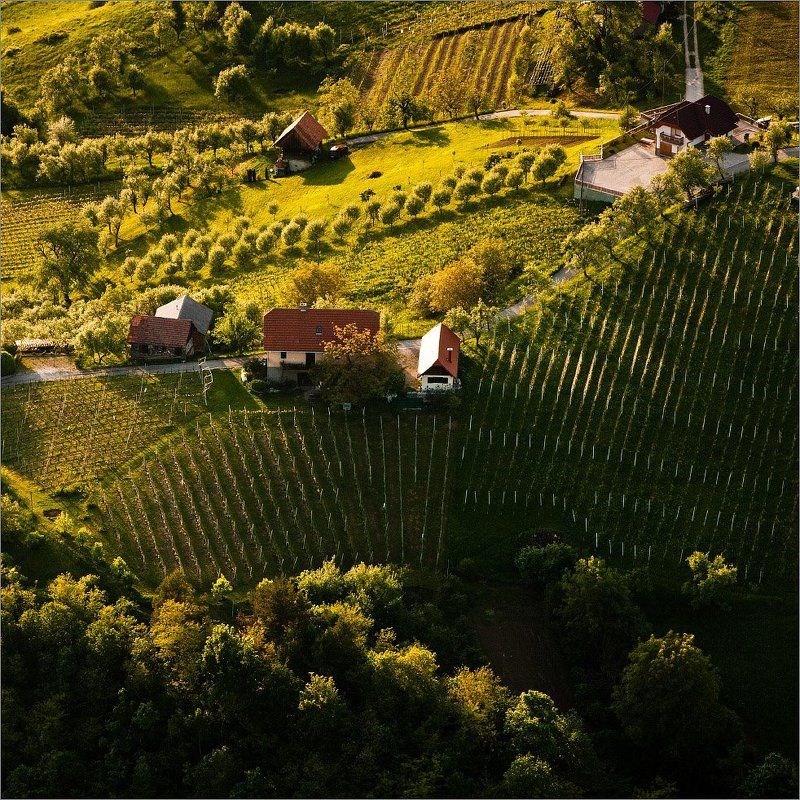 Словения Таити, Таити ... фото превью