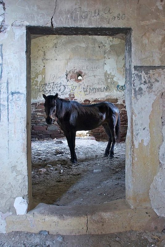 Портрет в интерьере...photo preview