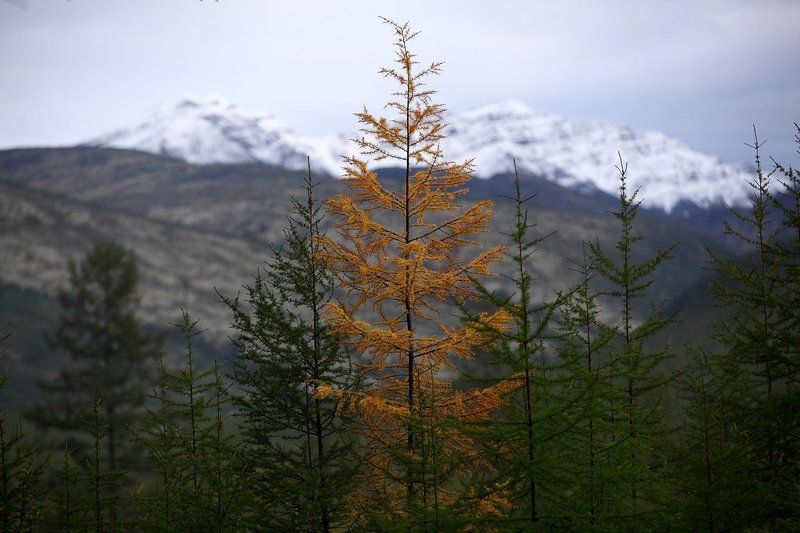 якутия, осень, про Осень в Якутииphoto preview