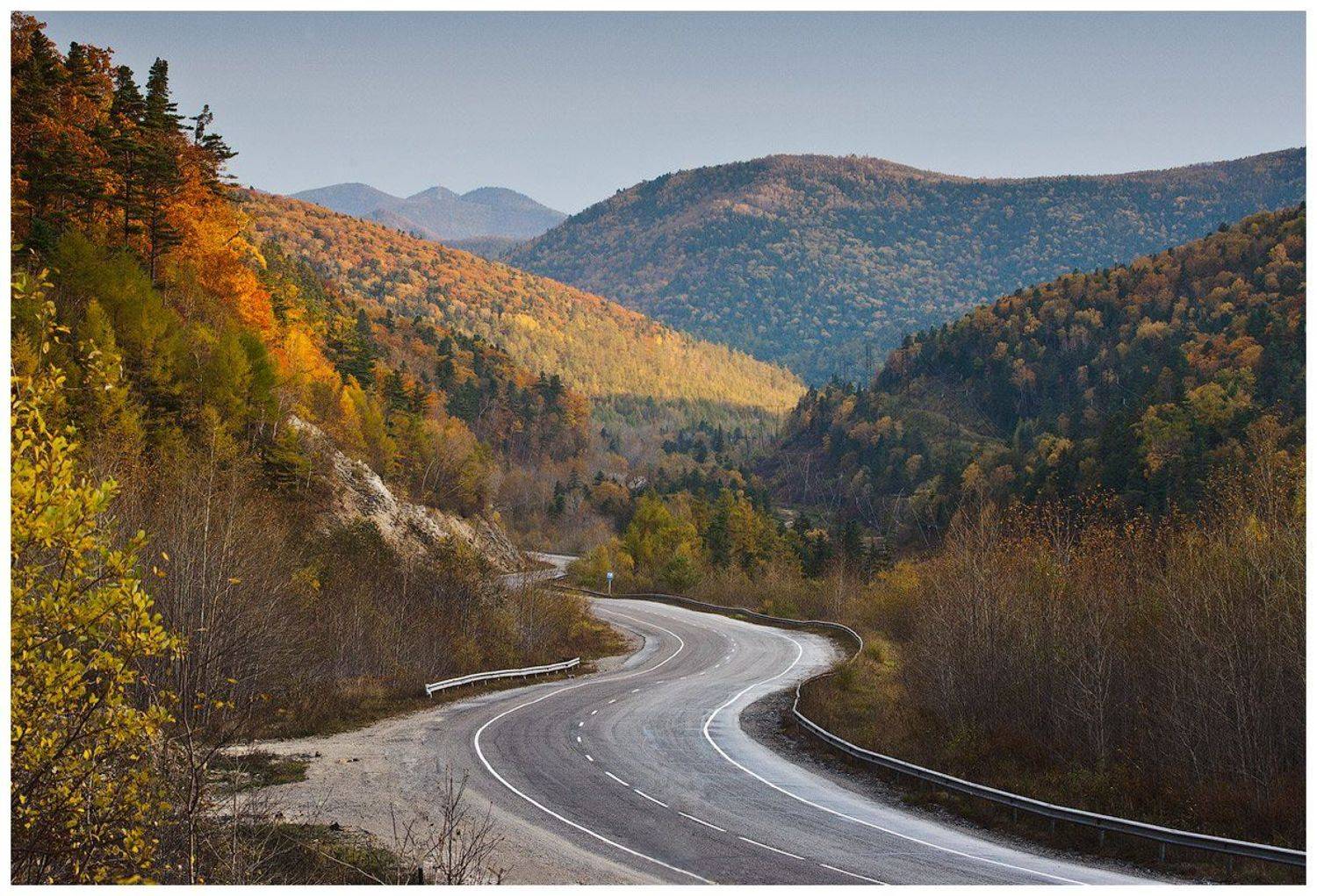 ***. Автор: Дмитрий , Дмитрий