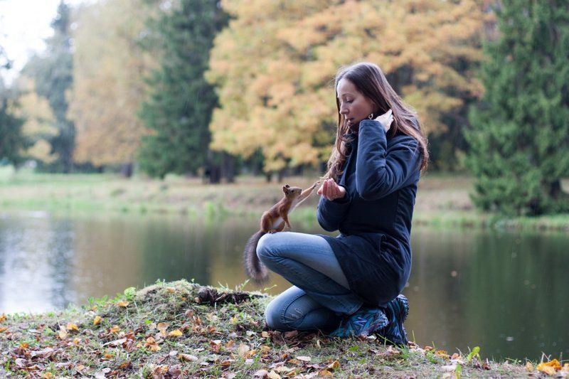Пушкинская белкаphoto preview