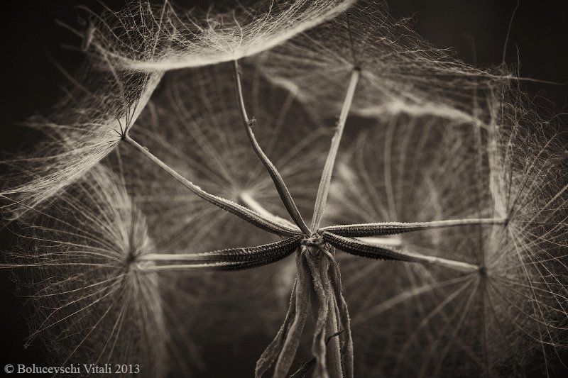 Элементы продолжениеphoto preview