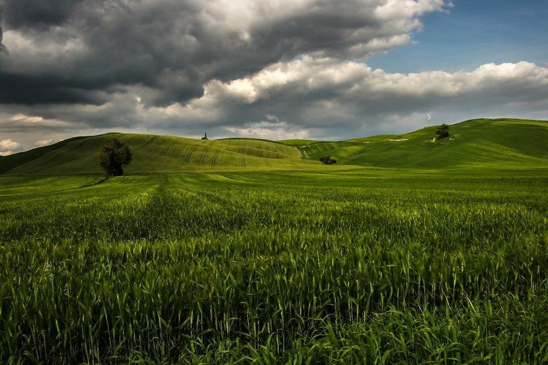 italy2008photo preview