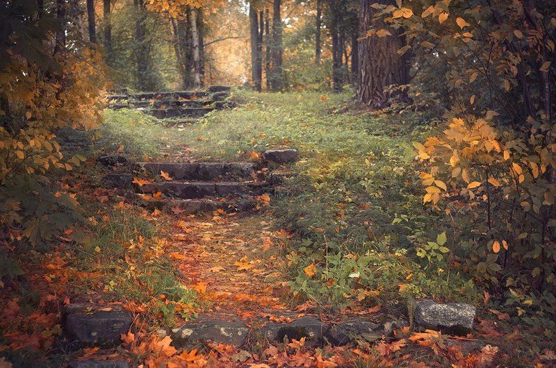 Вот и тыphoto preview